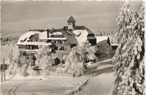 Kniebis-Lamm