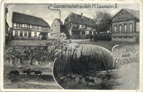 Gruss aus Messel - Gastwirtschaft von Joh. Laumann