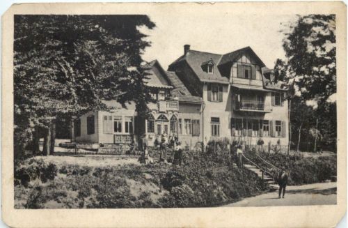 Sandplacken im Taunus - Wald-Wirtschaft