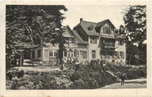 Sandplacken im Taunus - Wald Wirtschaft