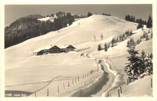 Alpe Eck beim Allgäuer Berghof über Sonthofen