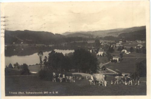 Titisee - Schwarzwald
