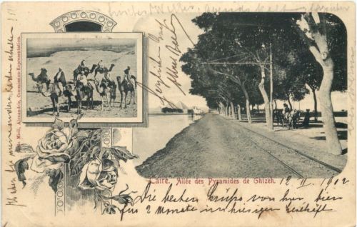 Caire - Allee des Pyramides de Ghizeh