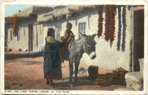 Indianer - The first riding lesson