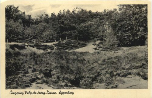 Omgeving Velp de Steeg Dieren
