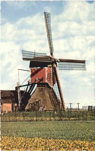 Holandse Molen - Windmühle