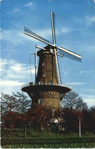 Holandse Molen - Windmühle