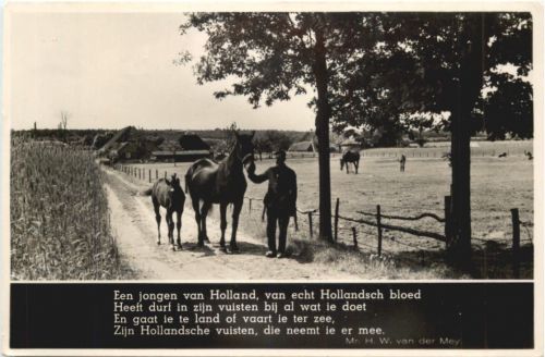 Een jongen van Holland