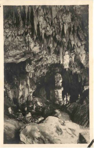 Postumia