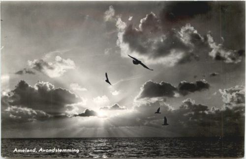 Ameland