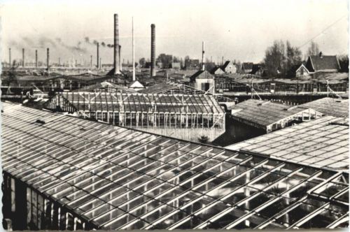 Aalsmeer - Bloemencentrum