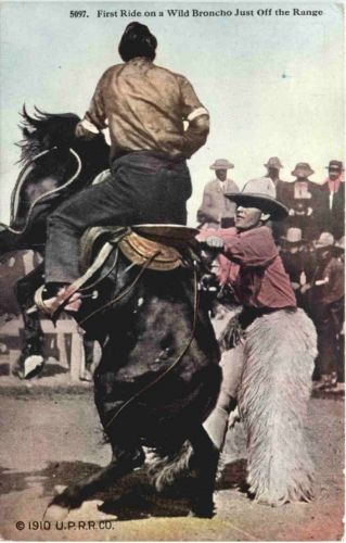 USA - First Ride on a Wild Broncho