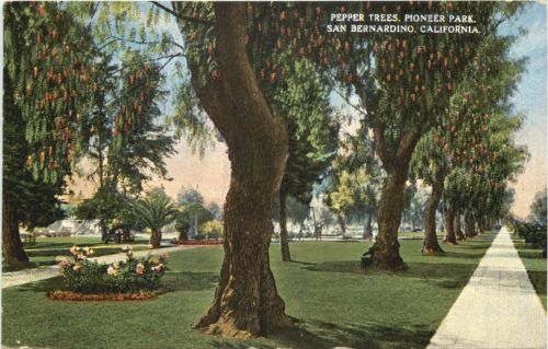 San Bernardino - California