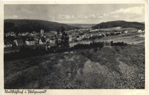 Waldfischbach im Pfälzerwald
