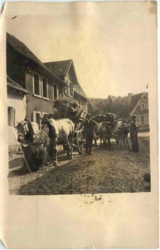 Kriegsfeld