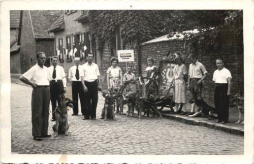 Bischofsheim Hessen - Verein für deutsche Schäferhunde