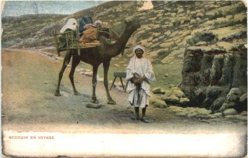 Bedouin en Voyage - Egypt
