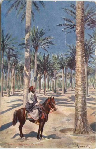 Plam Grove near Kerdase - Egypt