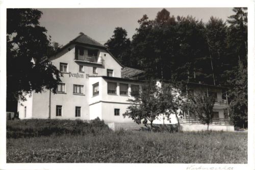 Weiten-Gesäss - Pension Waldfriede - Michelstadt im Odenwald