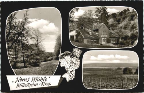 Mittelheim Rheingau - Korus Mühle