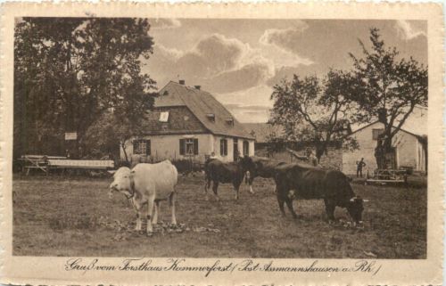 Gruss vom Forsthaus Kammerforst - Post Assmannshausen
