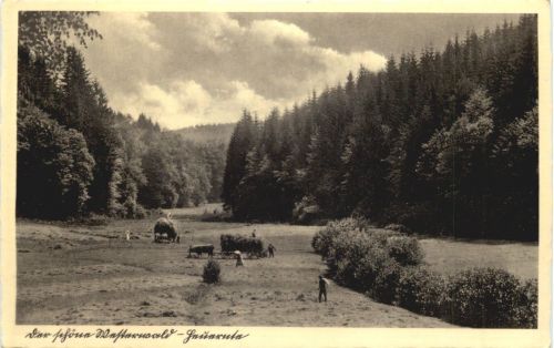Der schöne Westerwald