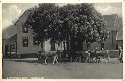 Lommersdorf Eifel - Dorfbrunnen - Blankenheim