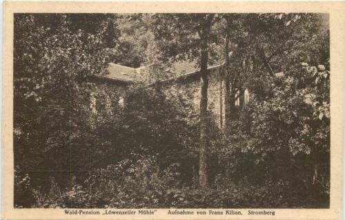 Stromberg Hunsrück - Wald-Pension Löwenzeiler Mühle