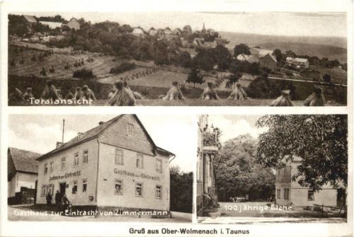 Gruss aus Ober-Wolmenach im Taunus - Malmeneich