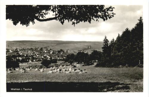 Miehlen im Taunus