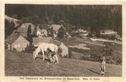 Hof Dachsloch bei Bromskirchen im Sauerland