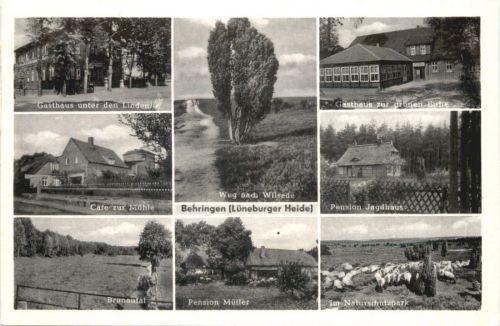 Behringen Lüneburger Heide