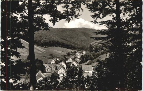 Lonau Südharz