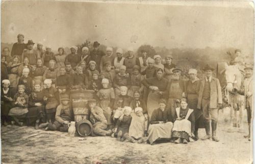 Grünstadt - Weinlese 1919