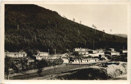 Schaidt Pfalz - RAD