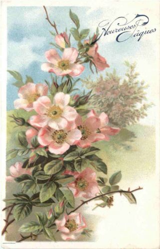 Ostern - Blumen