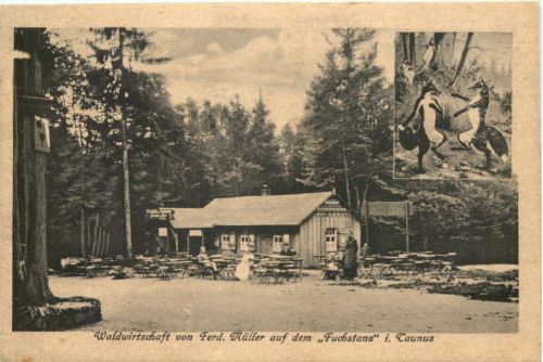 Waldwirtschaft auf dem Fuchstanz im Taunus