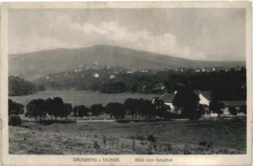 Cronberg im Taunus - Blick vom Schafhof