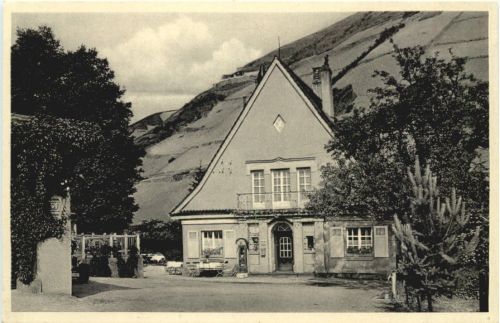 Münster Sarmsheim bei Bingen - Weinkosthalle Trollmühle