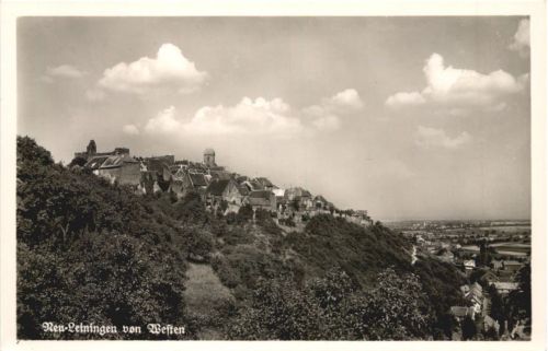 Neu-Leiningen von Westen