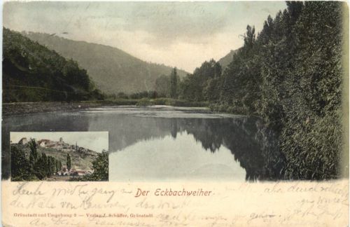 Der Eckbachweiher - Neuleiningen