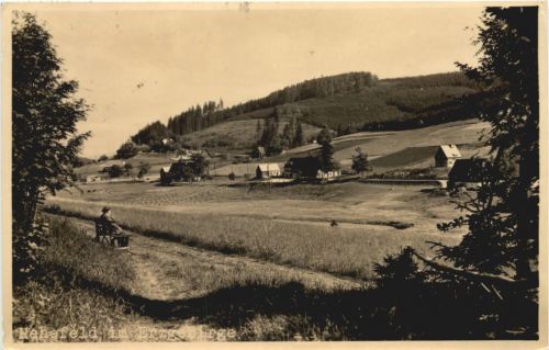 Henefeld im Erzgebirge