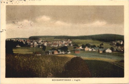 Schnarrtanne im Vogtland