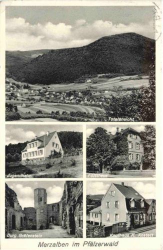 Merzalben im Pfälzerwald