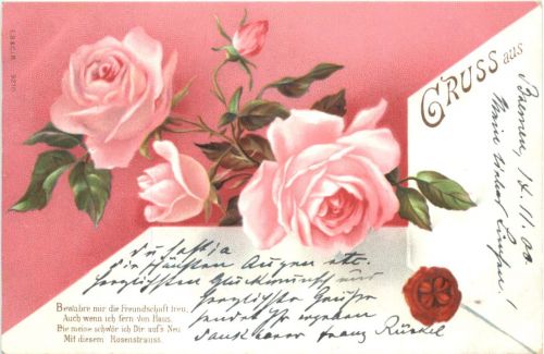 Blumen - Rosen