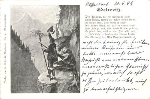 Sage - Edelweiss
