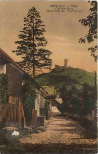 Mühlberg über Arnstadt - Die Mühlburg