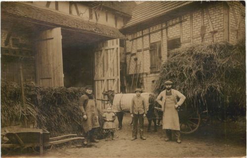 Bauern - Landwirtschaft