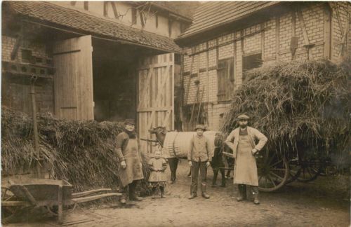 Bauern - Landwirtschaft