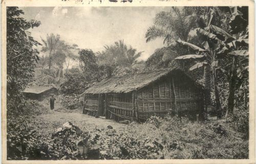 Dorf im Urwald auf dem Kamerunberg - Kolonien